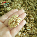 Export Standard Good Quality Wholesale Walnut Kernels